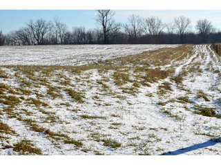 54.7 Acres with 50 tillable and 4.3 wooded.  Surrounded by heavy deer population on CRP land.  Great trophy deer hunting on established food plots.  Hunting tower.

Receive income on tillable acres while abundance of deer hunting on established food plot. - Great Investment Opportunity - Tillable Land, Recreation & Building Site